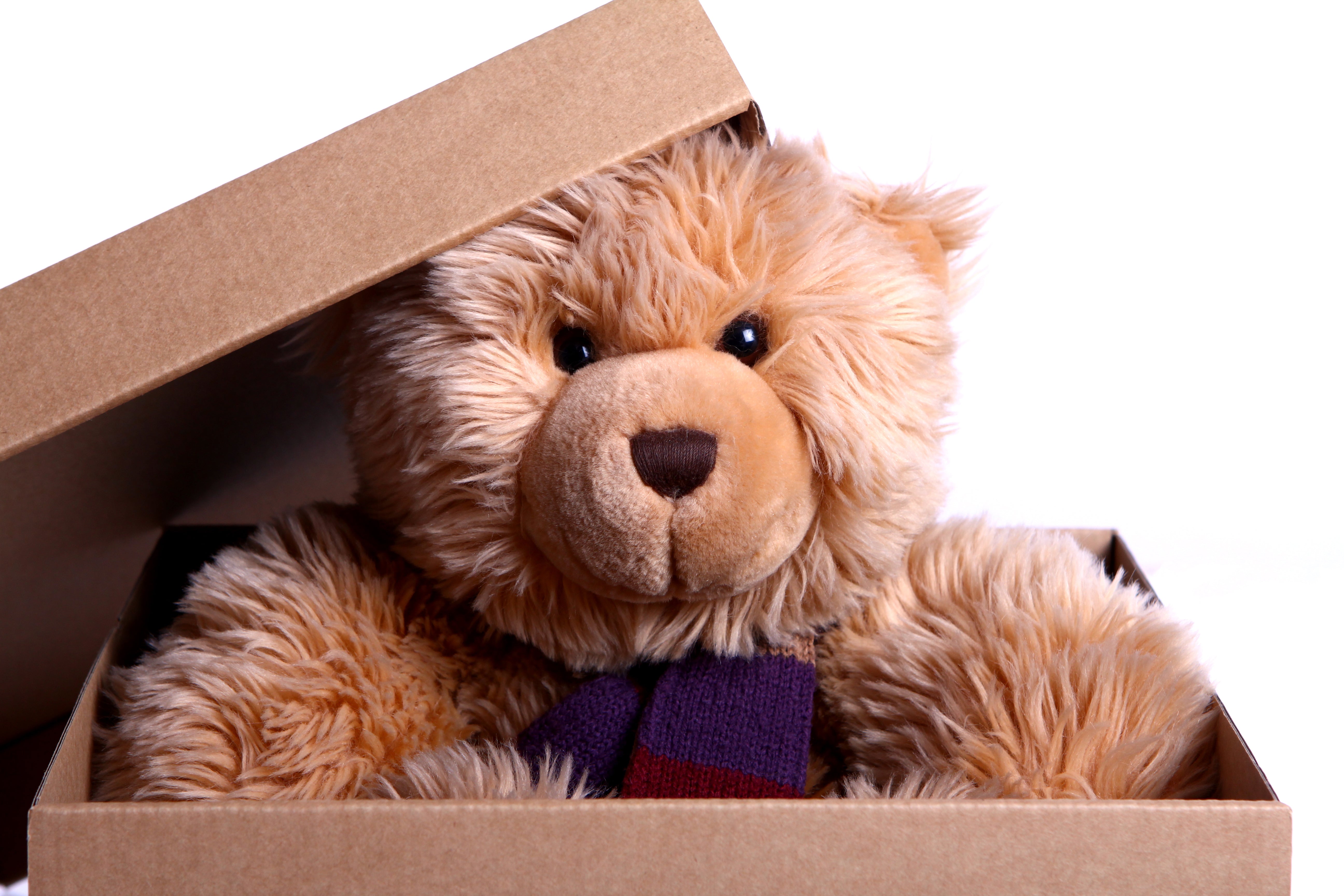 How to Pack Stuffed Animals