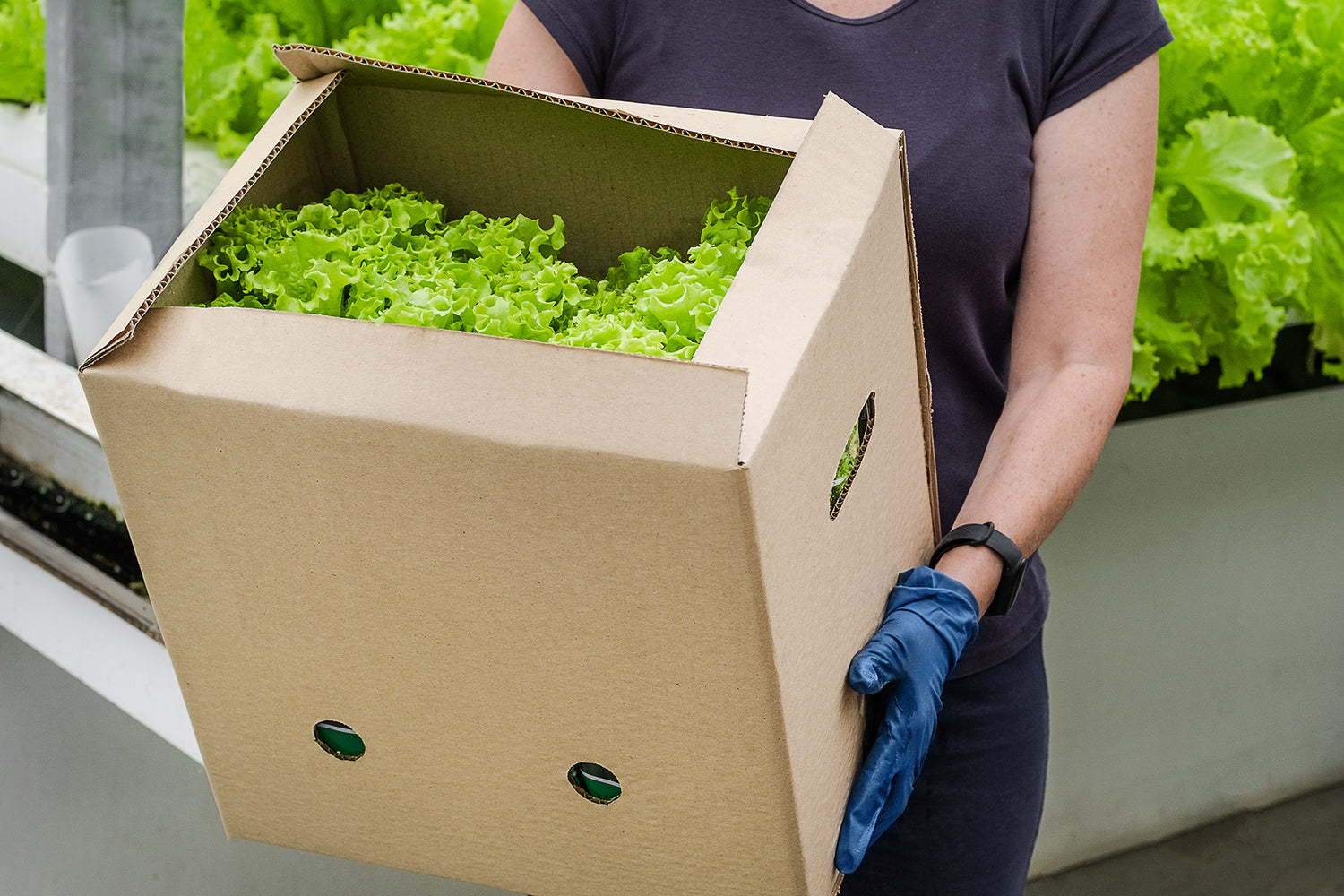 Why Grocery Store Boxes Are Hazardous for Moving.